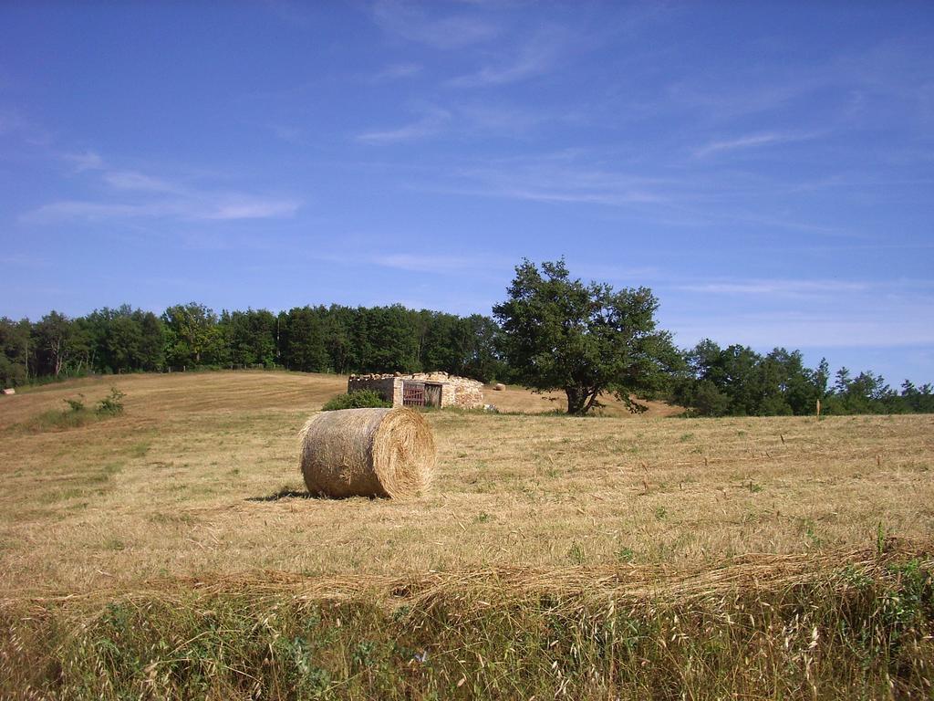 Agriturismo Bio Le Macchie Alte Manciano Eksteriør billede