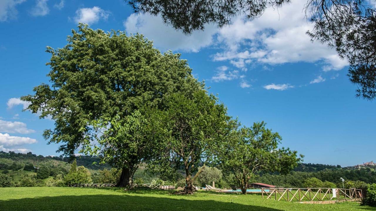 Agriturismo Bio Le Macchie Alte Manciano Eksteriør billede